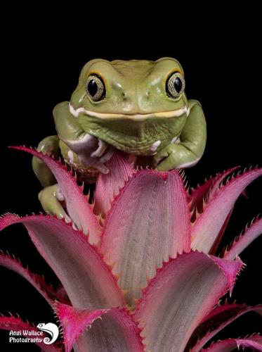 B12E952A-114A-43F3-B419-68AFC3E240CE