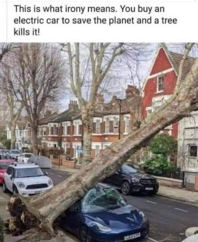 FB_IMG_1646745427126