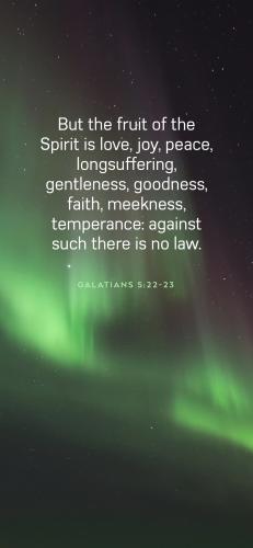 12C86321-8B37-490F-BABF-70CA5F2D1F47