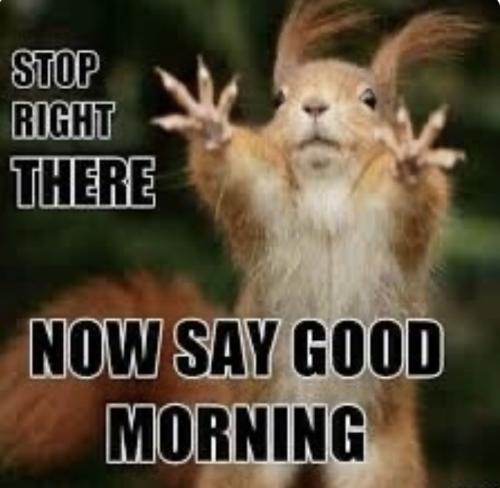 B148C98D-B283-45BE-921A-EE4B56A1F6FD