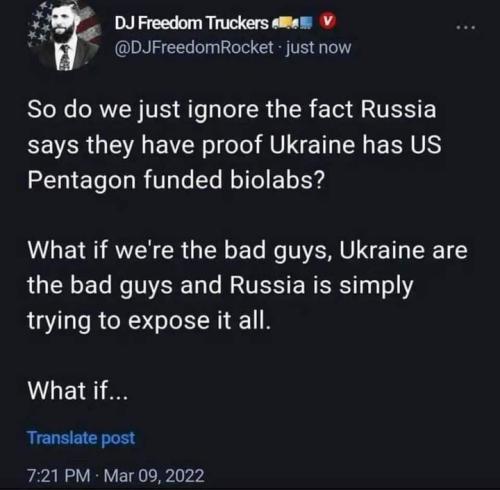 WHAT IF