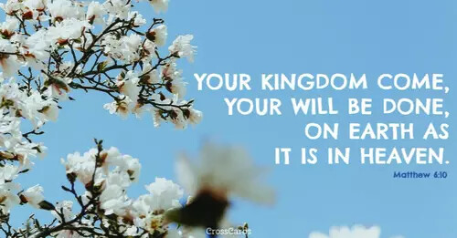 60002-matthew610-cc.1200w.tn