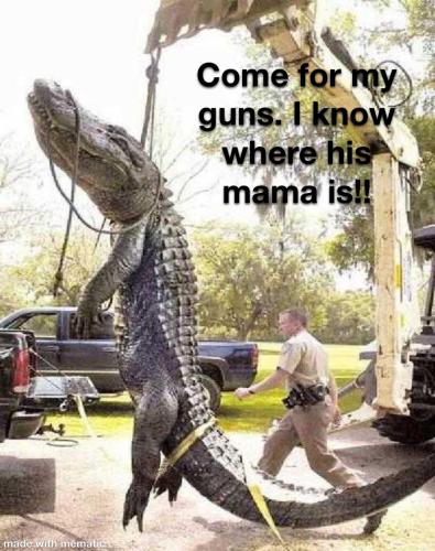 0087BD02-BF0D-479F-AB61-3E47CC13700B