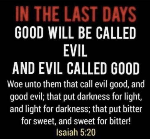 39511db2-2aaa-43a4-b3a5-f60a84ce2ff9