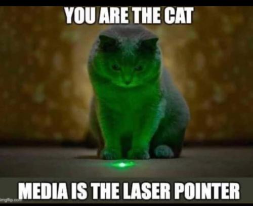 FB_IMG_1646263925554