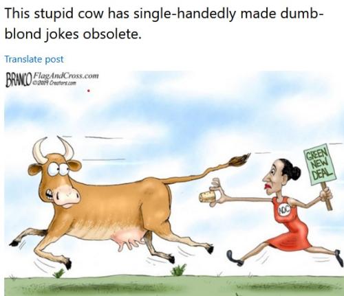 stupid-cow