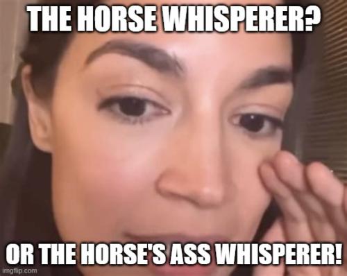 aoc ass