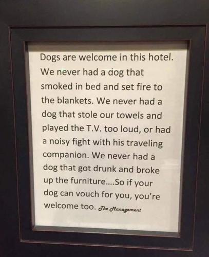 Dogs are welcome