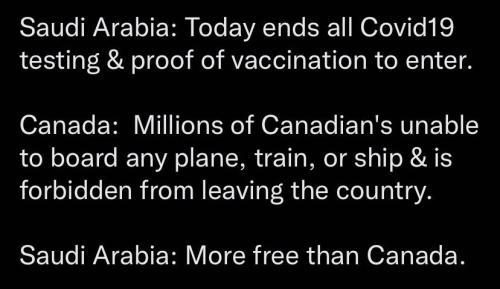 b0306c0f-c6aa-4d55-a679-79a244d393da