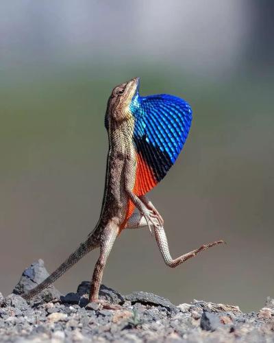 0E0CF777-68EE-42E0-9A00-42A02C522E5C