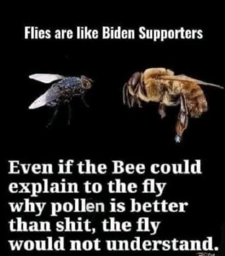 771263EA-5295-42DE-94E6-B56762746D17