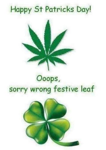 53352535_256189965285134_4018044464932061184_n