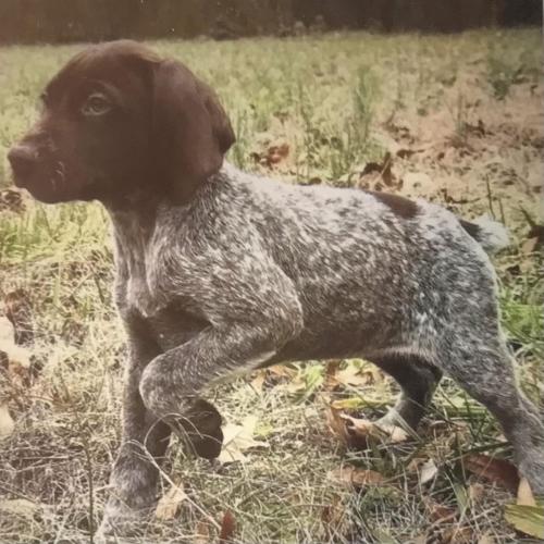 BC36D067-D5DD-440A-A348-CBDB1B86E011