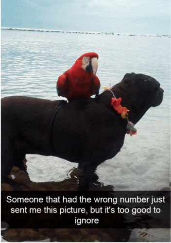 Screenshot_20220328-180807