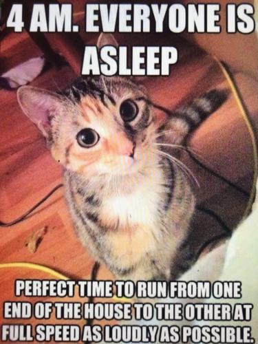 31E23776-00E4-4C04-B65F-18B87625CF05