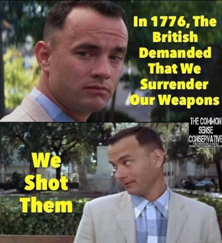 GunControl61