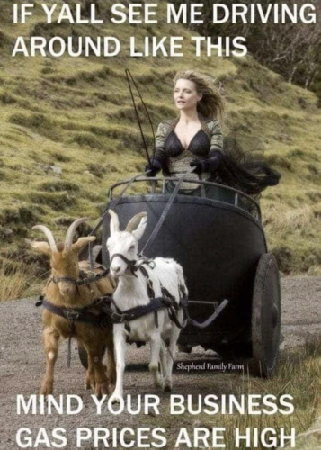 xephula_c6d0071f7cc702dece31004b9887f407