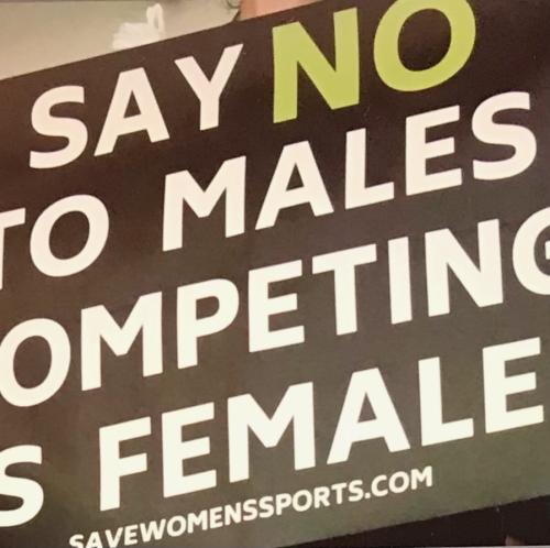 EF0FF8AC-7CDD-485F-A38D-83CC1313F8CD