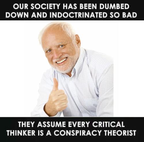 SocietyDumbdownIndoctrinatedAssumeEveryCriticalThinkerConspiracyTheorist