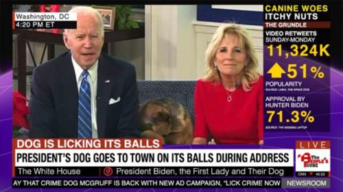 67c1092c28368f98d6465df69ec4dfef_500x0