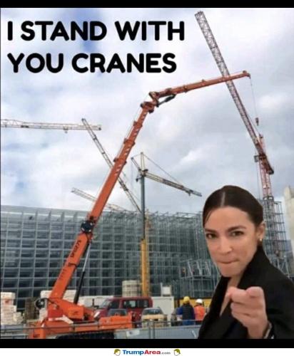 D5F8272C-7BD7-4DA9-9859-9E03EF5CC942