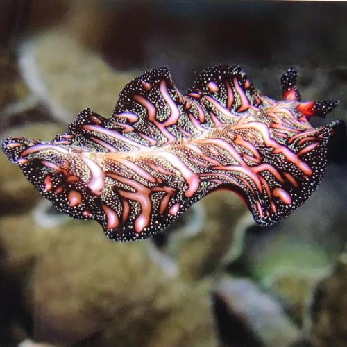 D8CB806A-2CB4-4F58-810C-AE6B85EBBADB