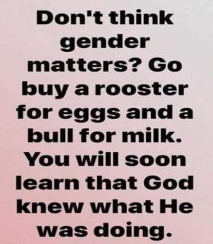 5A2556F3-20FE-4431-B7BE-FC2367A649E9