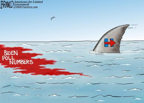 biden poll numbers