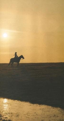 Sunset - Cowgirl at sunset 2