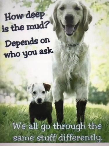 AE42EDC7-2CAB-4CC5-BB34-98AF38975E2C