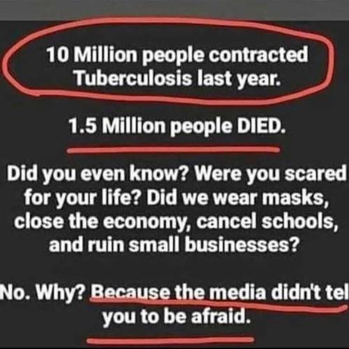 mediatellsyou