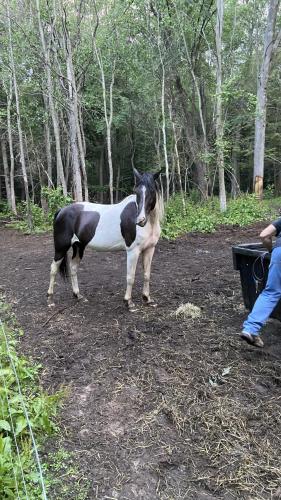 DEA219E1-88C5-44ED-8CA8-0109F530E337