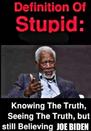 definition of stupid