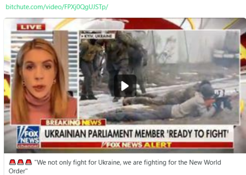 Screenshot 2022-03-01 at 09-54-08 Weltansicht ( Weltansicht) • gab com