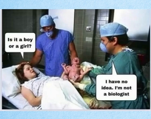 Screenshot_20220328-223259~2