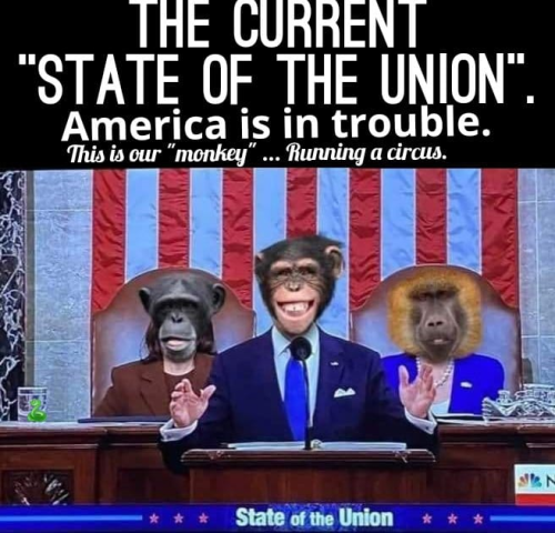 Monkey Govt. Maga