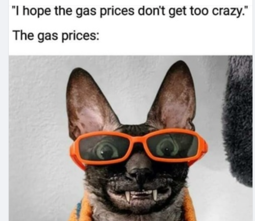 Screenshot 2022-03-12 7.39.59 AM