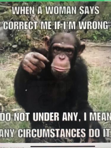 69F32902-1849-4FB3-95C2-90D8AB49CF83