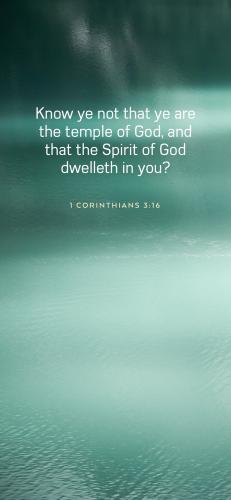 0BF6E361-6B13-4778-998C-603ECED7EFFE