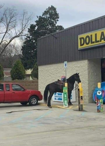 FB_IMG_1647292942241