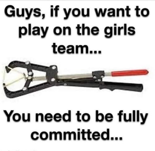 Guys if you want to play on the girls team