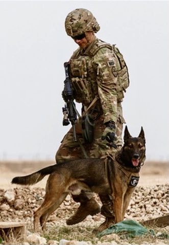 BAEEF1D7-2514-489B-91BF-34AC5D13E3FF