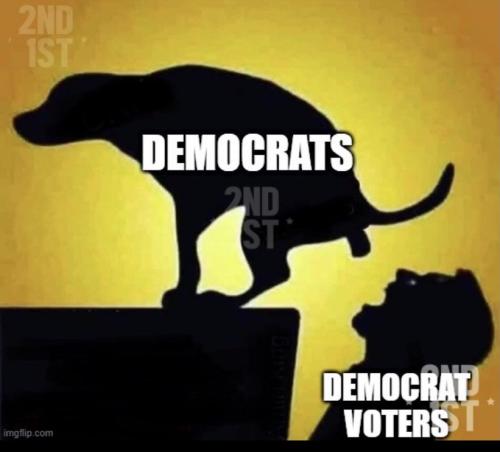 DEMOCRATS VOTERS