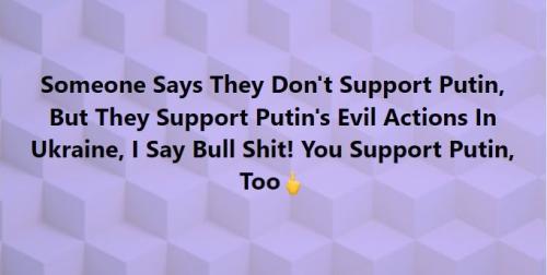 Captureputinbullshit