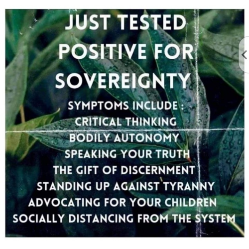 1648242221965_hub_od_