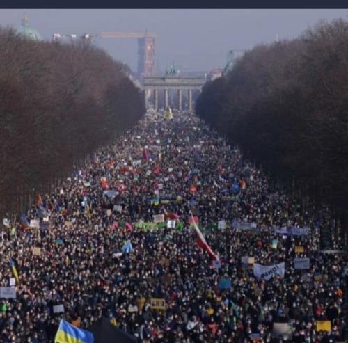 e2c2116d-0897-4ed5-9d94-b348d1f3a874