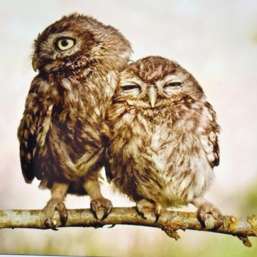 7E87550F-15B9-480F-B411-F230EE90FB39