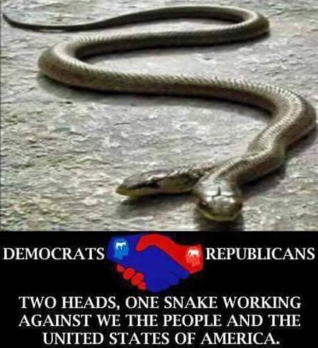 TwoHeadsOneSnake