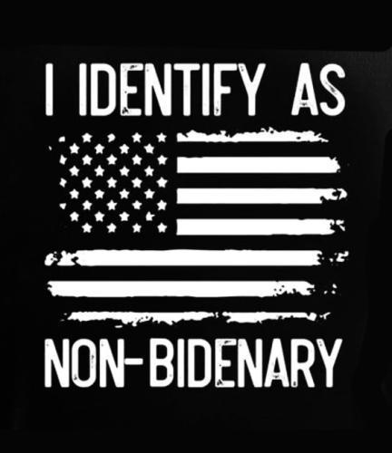 Non Bidenary