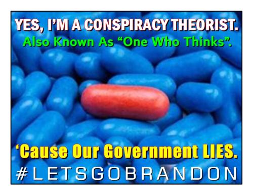 Conspiracy Theorist ~ 1